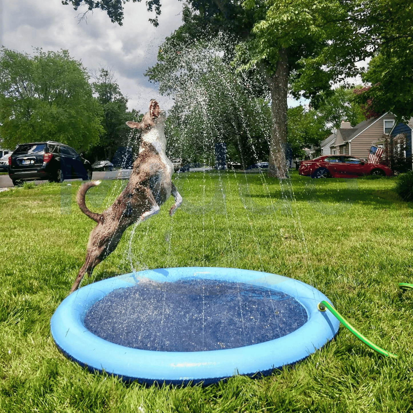 HydroSplash Speelbad - Voor Kinderen en Huisdieren - Waterstralen Spel - Zomerplezier