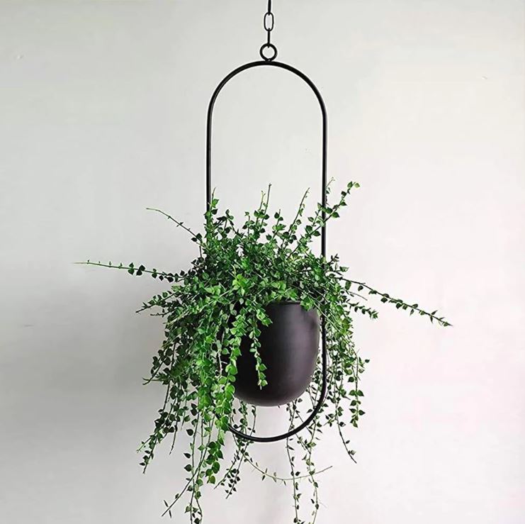 EleganceLeaf - Plantenhanger - Elegant Ontwerp - Luxe Stijl voor Binnen en Buiten